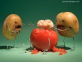 /album/srandovni-jidlo/potatoes-are-dissecting-tomato-jpg/